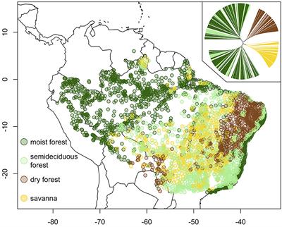 Inserting Tropical Dry Forests Into the Discussion on Biome Transitions in the Tropics